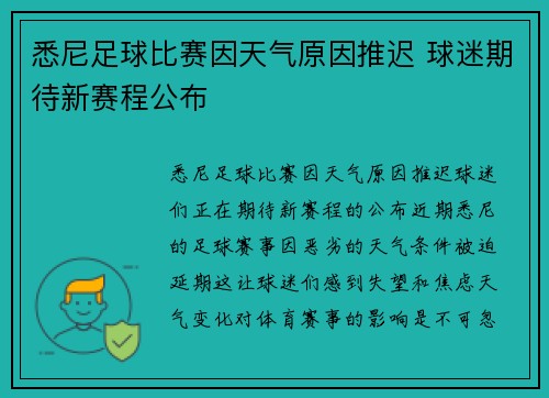 悉尼足球比赛因天气原因推迟 球迷期待新赛程公布